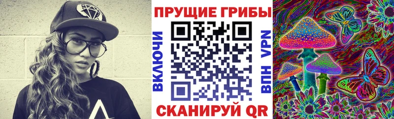 Галлюциногенные грибы Magic Shrooms Верхотурье